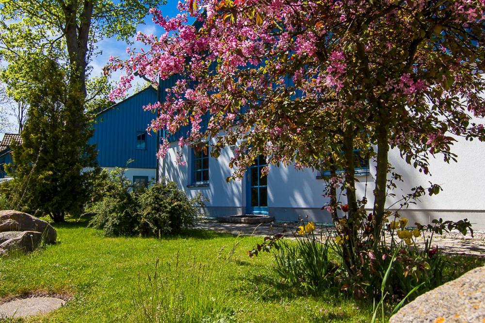 Ferienanlage Kap Arkona - App 7 Putgarten エクステリア 写真